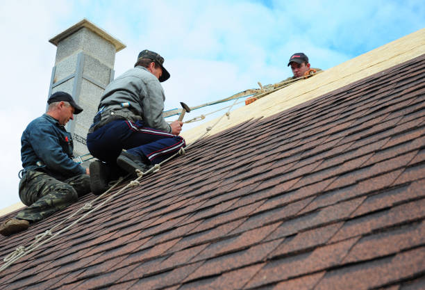 Quick and Trustworthy Emergency Roof Repair Services in Inverness Highlands North, FL